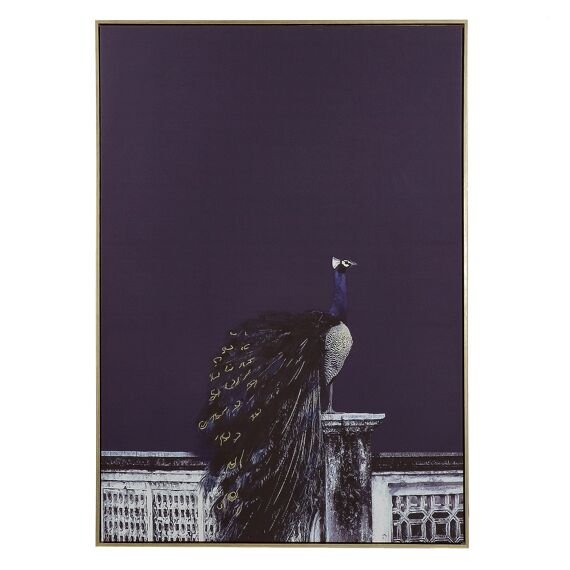 PAVO REAL - canvas with frame by Oliveira Algarve