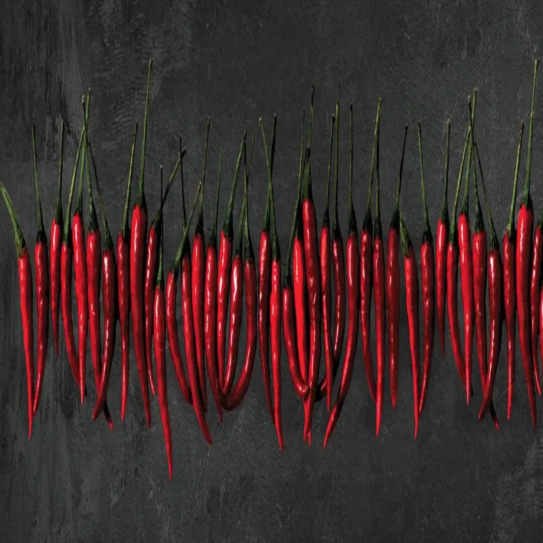 76-art-kitchen-lavagna-e-peperoncini-Kitchen Wall Panels----