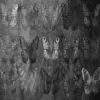 The-Butterfly-01-Kitchen Wall Panels-Indoor Wall Panels-Outdoor Wall Panels-Bathroom Wall Panels-