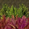 Jungle Leaf-Kitchen Wall Panels-Indoor Wall Panels-Outdoor Wall Panels-Bathroom Wall Panels-
