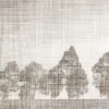 LINDEN-TREE-01-Kitchen Wall Panels-Indoor Wall Panels-Outdoor Wall Panels-Bathroom Wall Panels-
