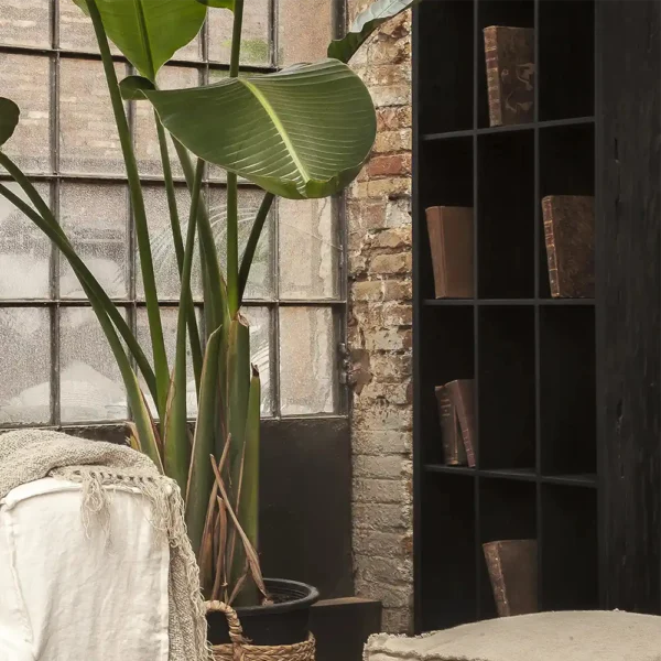 Eroded Style Solid Teak Wood Bookcase Display Cabinet – Available in Two Sizes and Wood Colours – Image 6