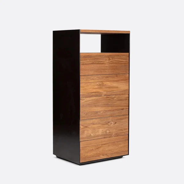 Stunning Rustic Solid Natural Teak Wood Chest of Drawers and Black Iron Contemporary Frame - Image 2