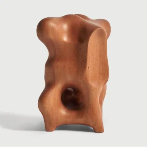 29703 - Natural Organic sculpture - Sculptures - Main Image