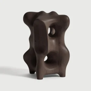 29713 - Organic sculpture - Sculptures - Main Image